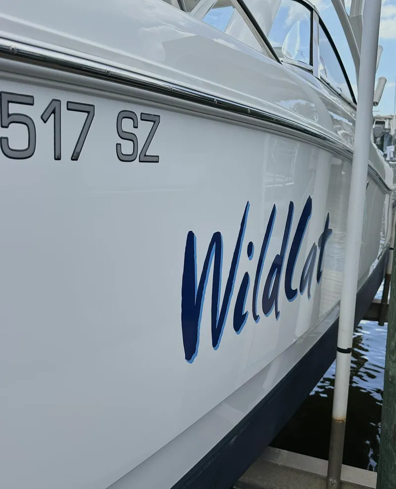 Slide: The Image of 2021 World Cat 255 DC boat with "WildCat" lettering on the side. - 17