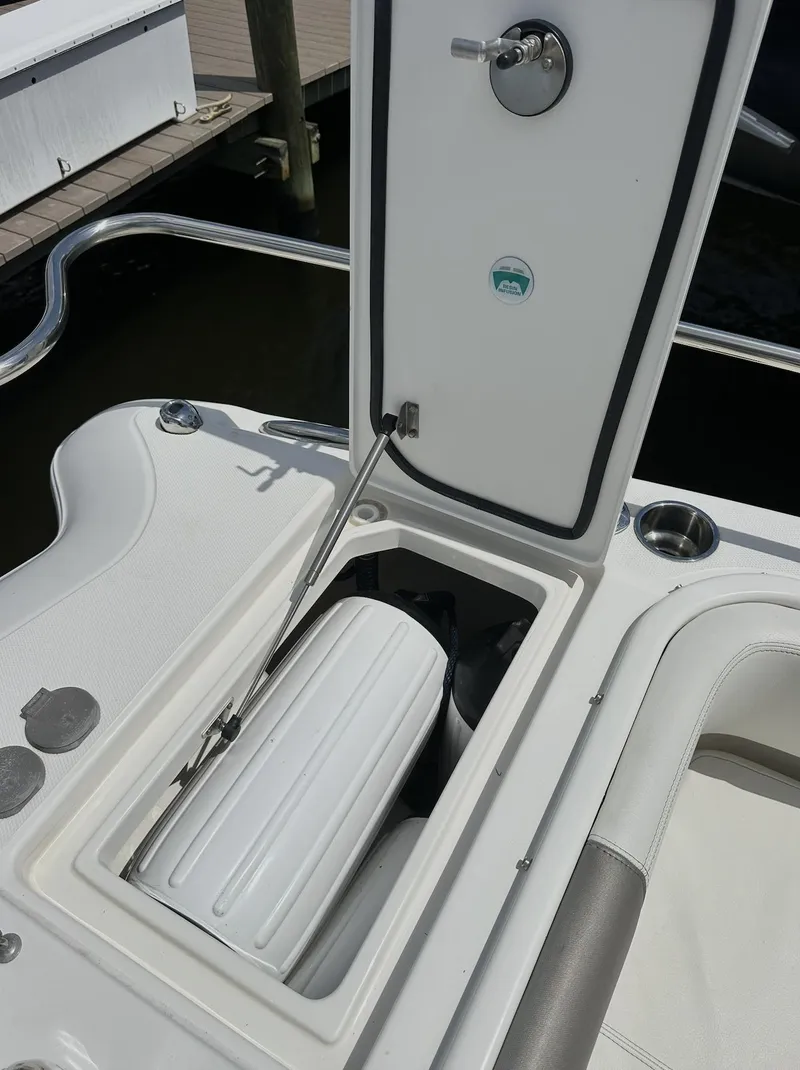 Slide: The Image of World Cat 255 DC 2021 - 51