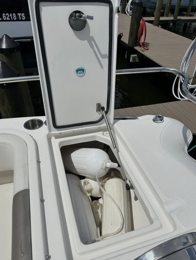 Slide: The Image of World Cat 255 DC 2021 - 54