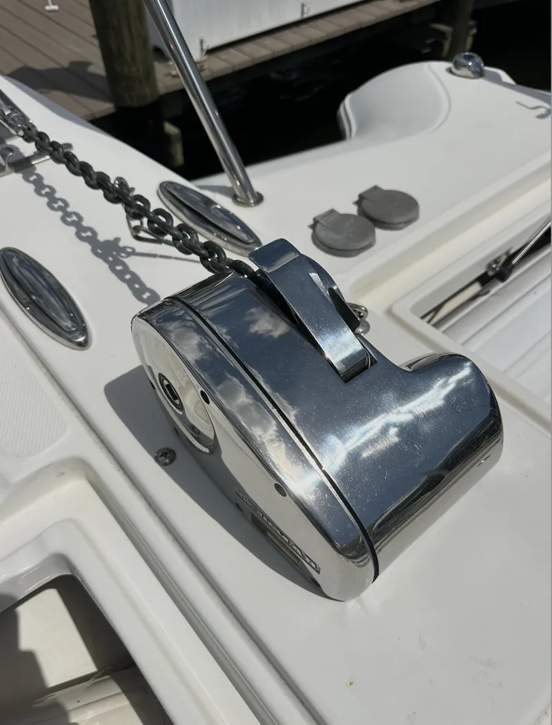 Slide: The Image of World Cat 255 DC 2021 - 55