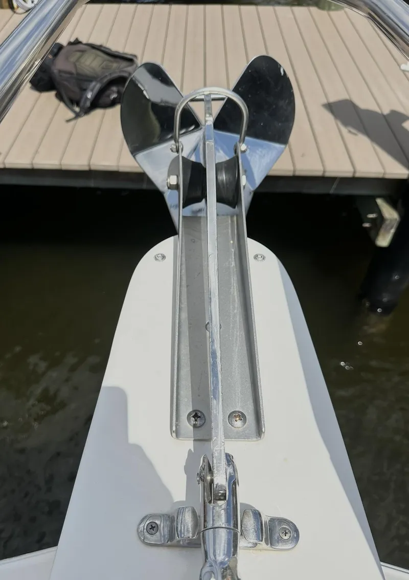 Slide: The Image of World Cat 255 DC 2021 - 58