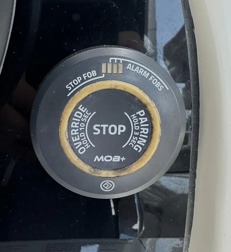 Slide: The Image of World Cat 255 DC 2021 - 59