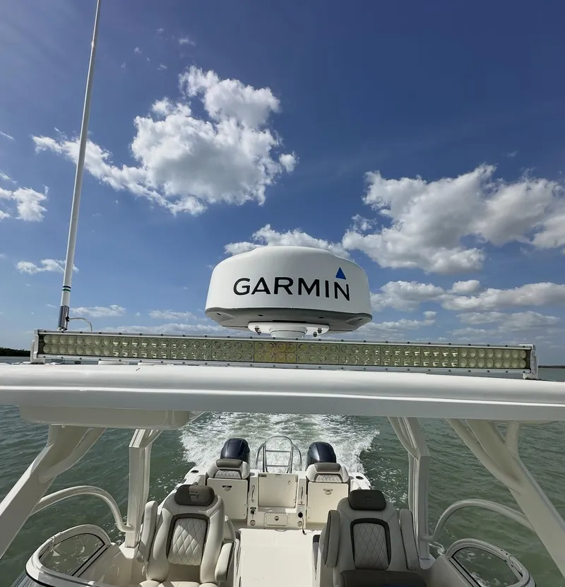 Slide: The Image of World Cat 255 DC 2021 - 60