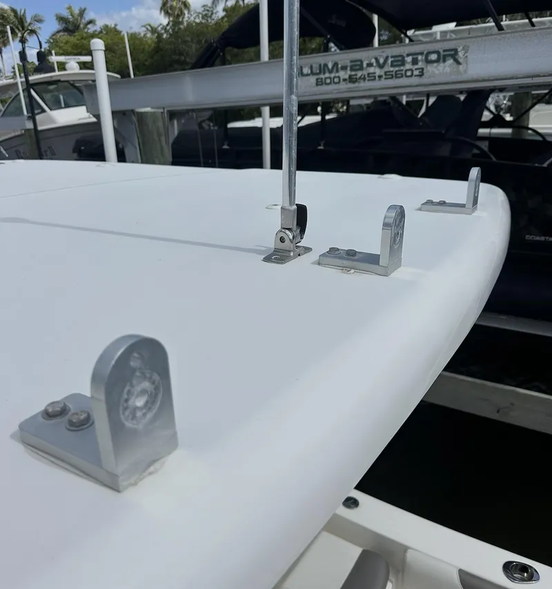 Slide: The Image of World Cat 255 DC 2021 - 61