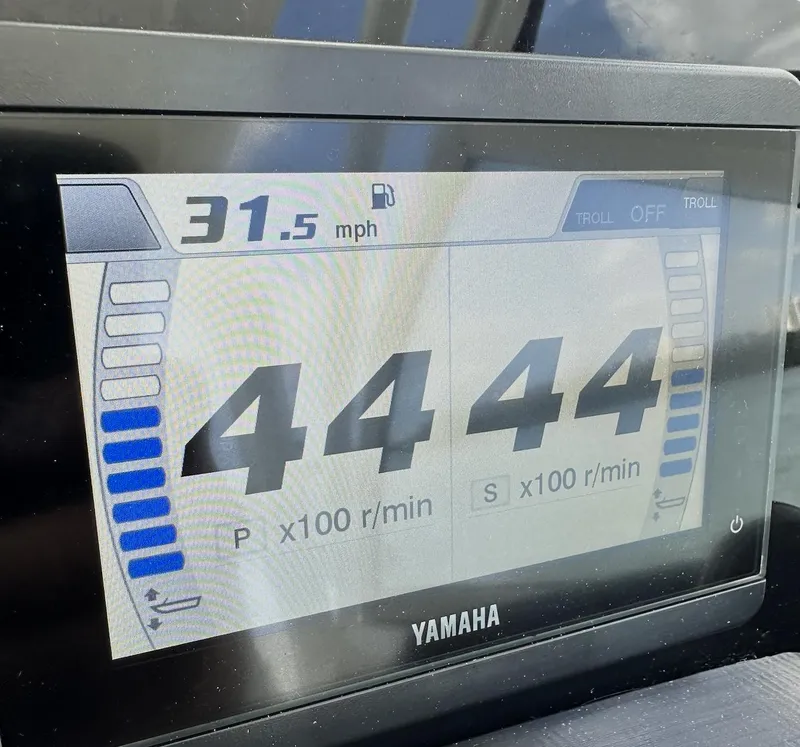 Slide: The Image of World Cat 255 DC 2021 - 63