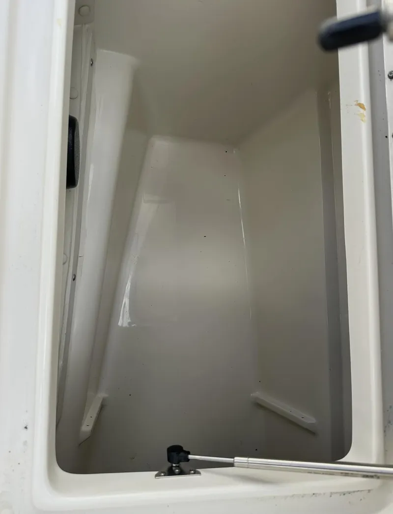 Slide: The Image of World Cat 255 DC 2021 - 65