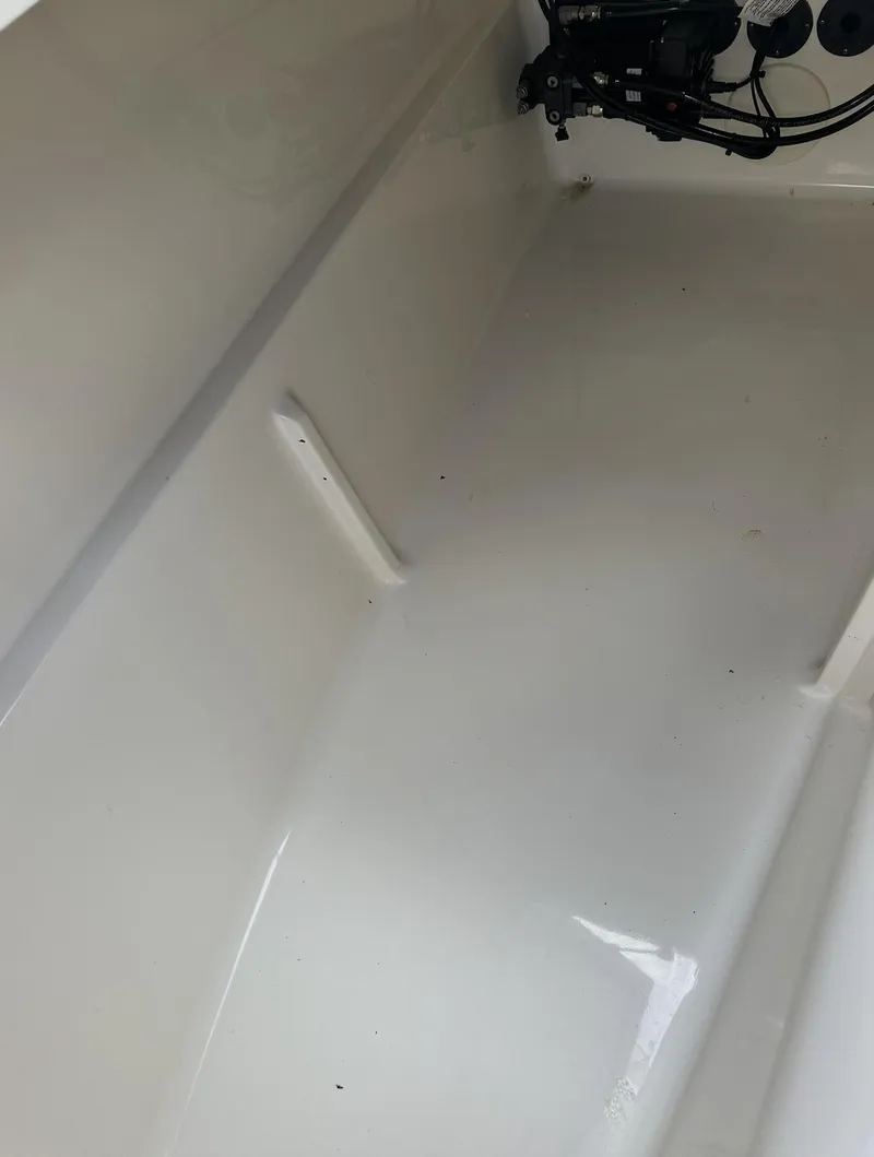 Slide: The Image of World Cat 255 DC 2021 - 66