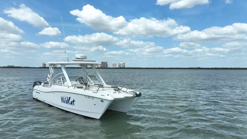 Slide: The Image of World Cat 255 DC 2021 - 69