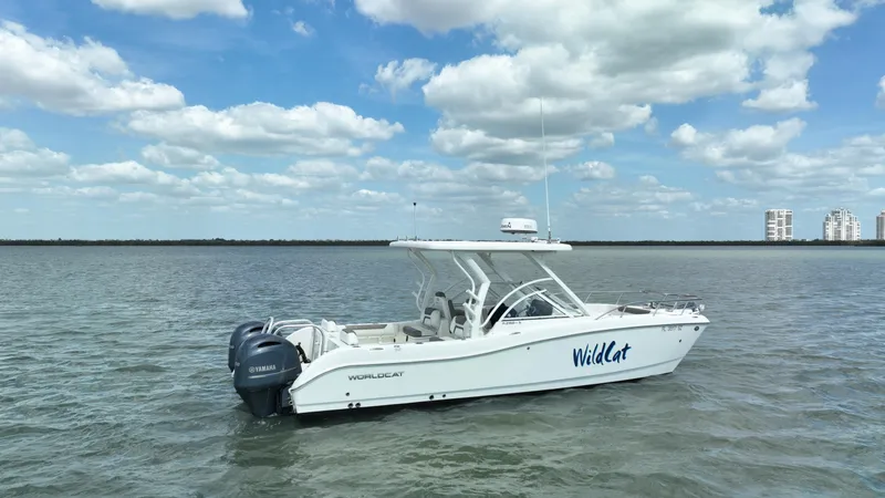 Slide: The Image of World Cat 255 DC 2021 - 70