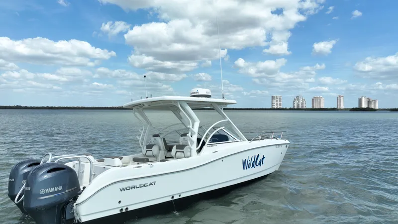 Slide: The Image of World Cat 255 DC 2021 - 71