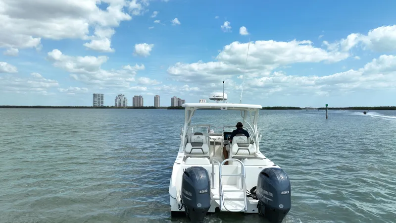 Slide: The Image of World Cat 255 DC 2021 - 72