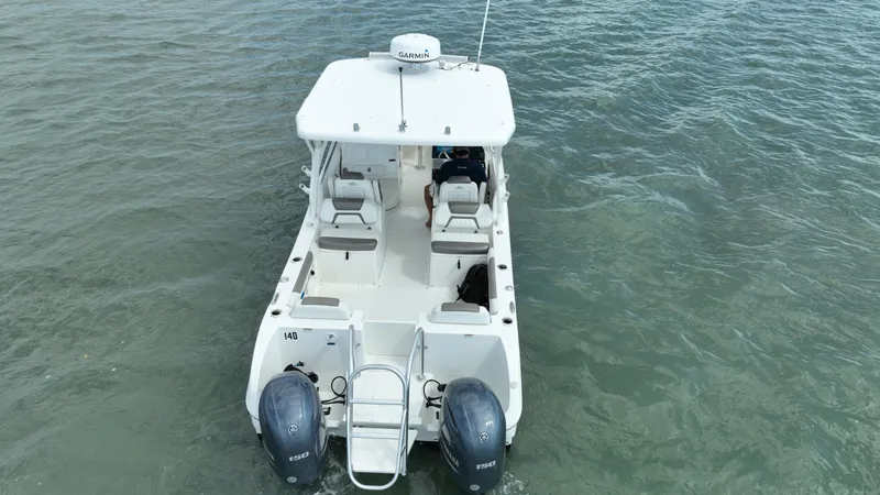 Slide: The Image of World Cat 255 DC 2021 - 73