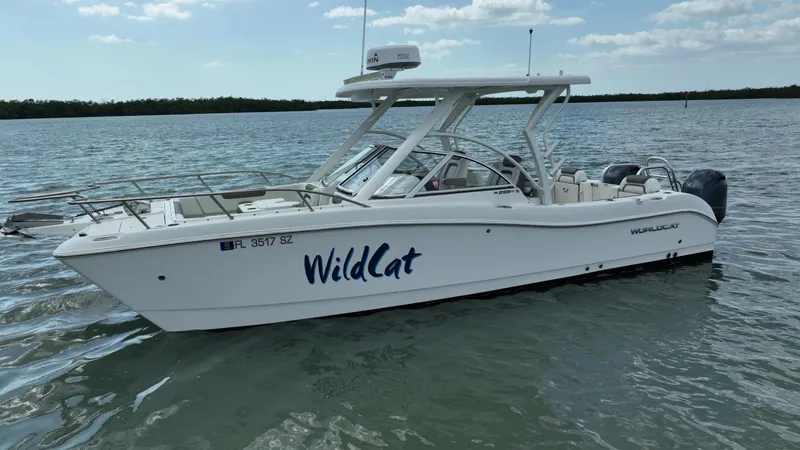 Slide: The Image of World Cat 255 DC 2021 - 74