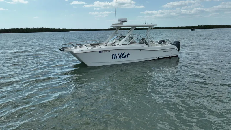 Slide: The Image of World Cat 255 DC 2021 - 75