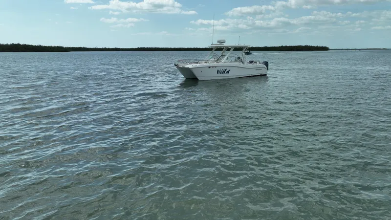 Slide: The Image of World Cat 255 DC 2021 - 76