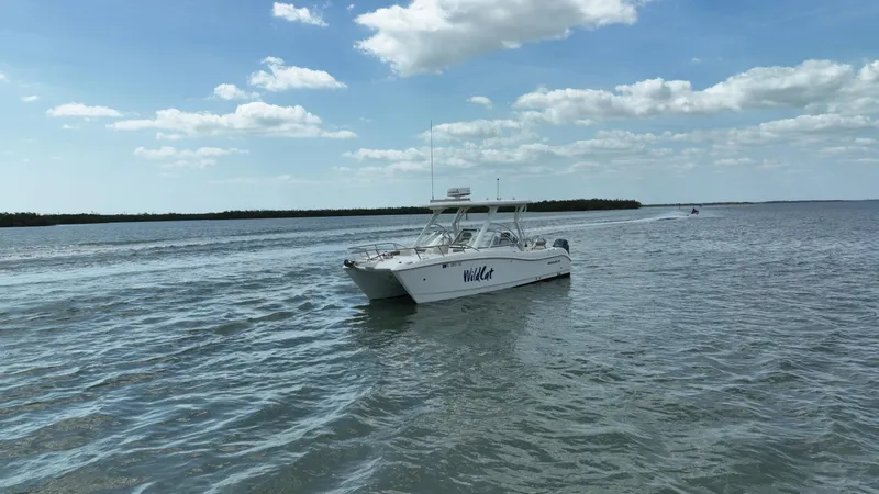 Slide: The Image of World Cat 255 DC 2021 - 77