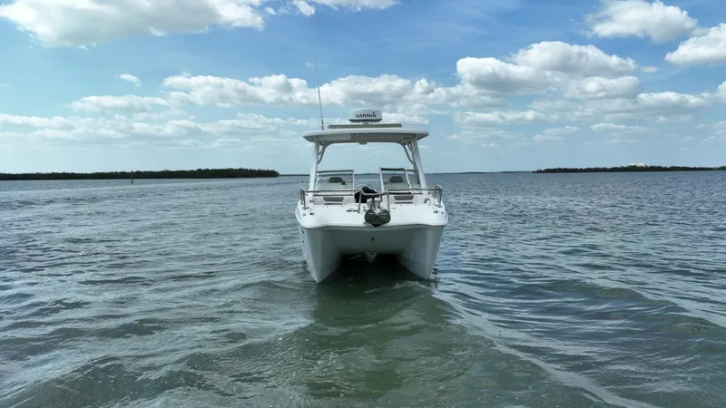 Slide: The Image of World Cat 255 DC 2021 - 78