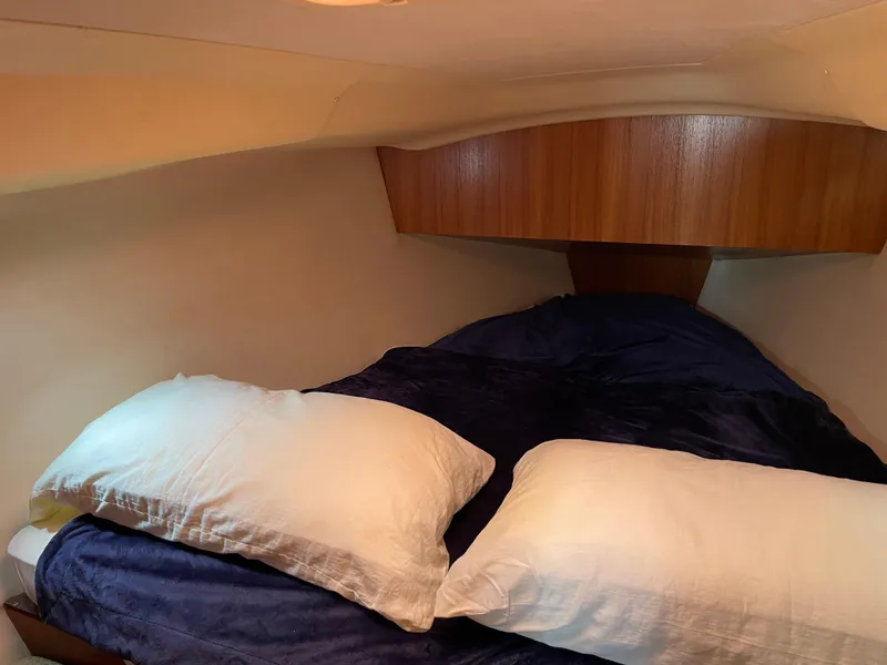 Slide: The Image of Hunter 33 2006 - 17