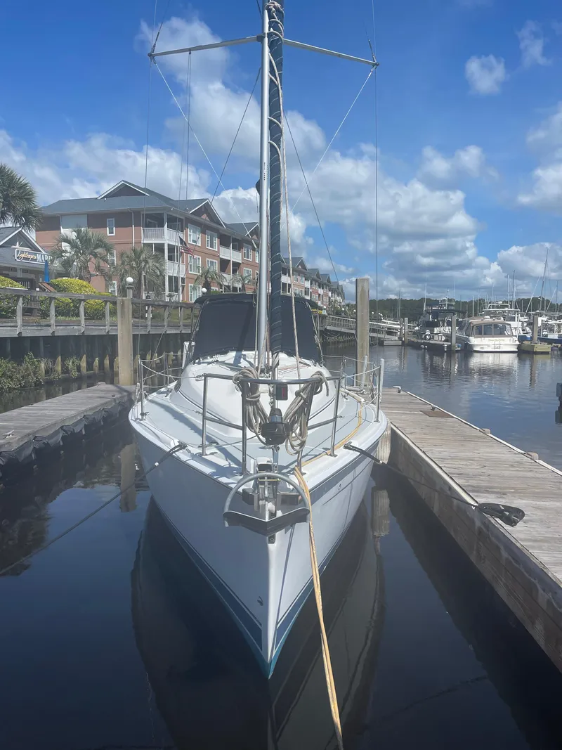 Slide: The Image of Hunter 33 2006 - 2