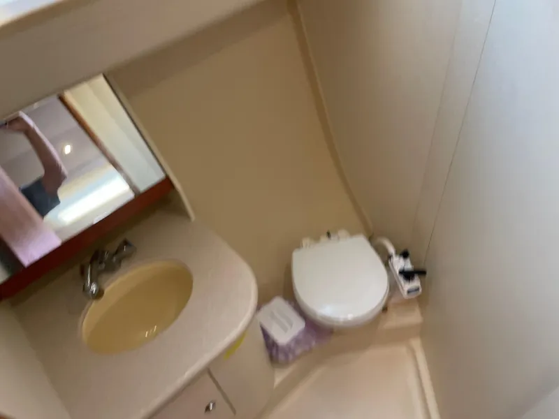 Slide: The Image of Hunter 33 2006 - 21