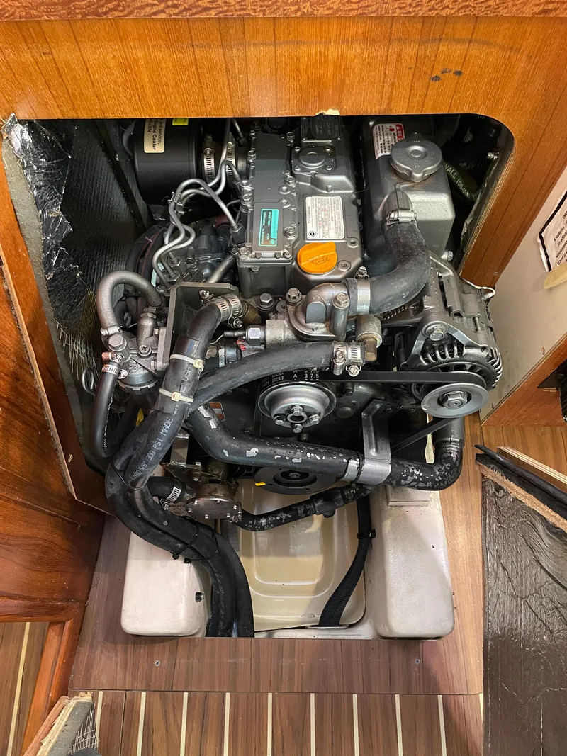 Slide: The Image of Hunter 33 2006 - 25