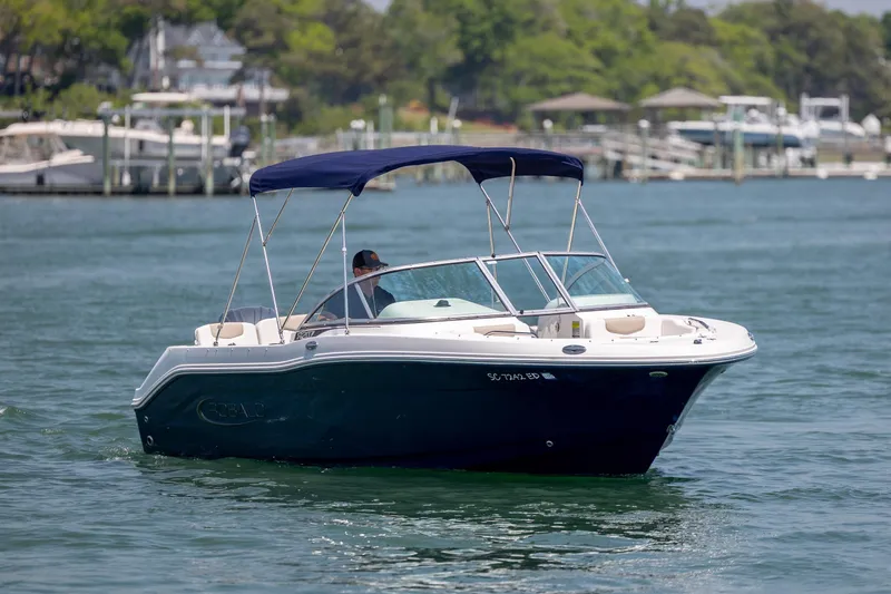 Slide: The Image of 2024 Robalo R207 Dual Console boat cruising on a sunny day. - 48
