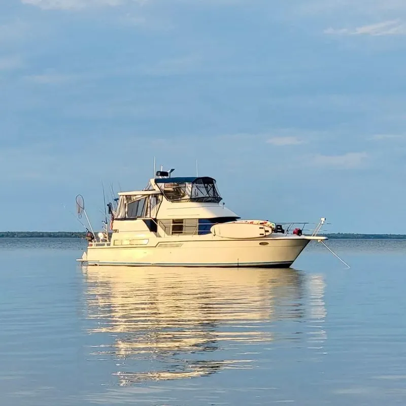 The Image of 1994 Carver 390CPMY yacht anchored on calm water under a clear sky. - 0