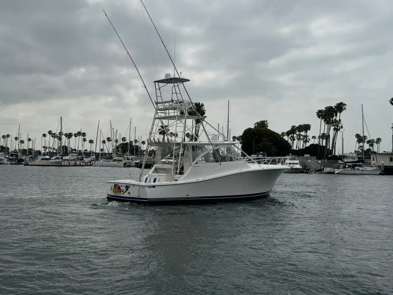 The Image of 2007 Luhrs 41 Express boat in marina with cloudy sky and palm trees. - 0