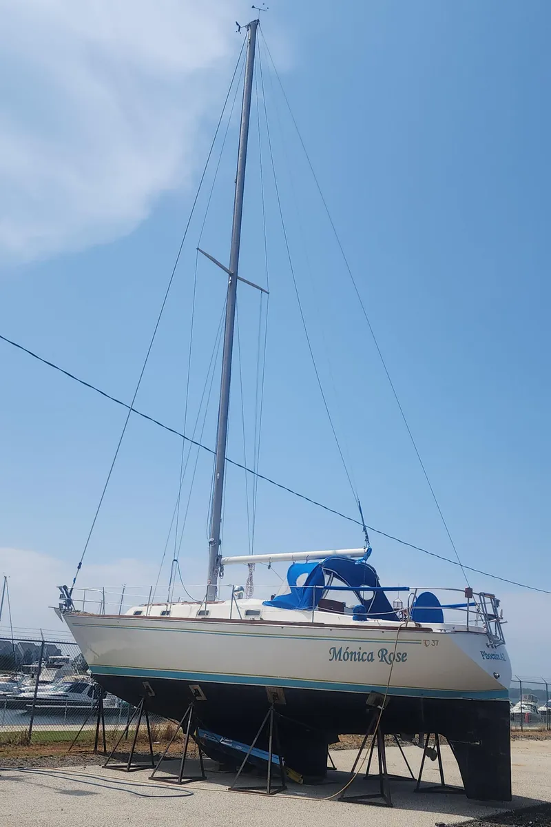 Slide: The Image of 1982 Tartan 37 sailboat "Monica Rose" on stands in a marina. - 34