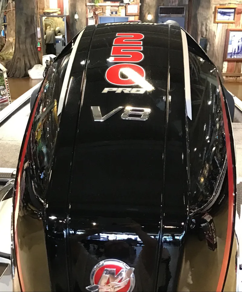 Slide: The Image of 2025 Tracker Savage 215 boat engine, 250 Pro V8, sleek black design. - 4