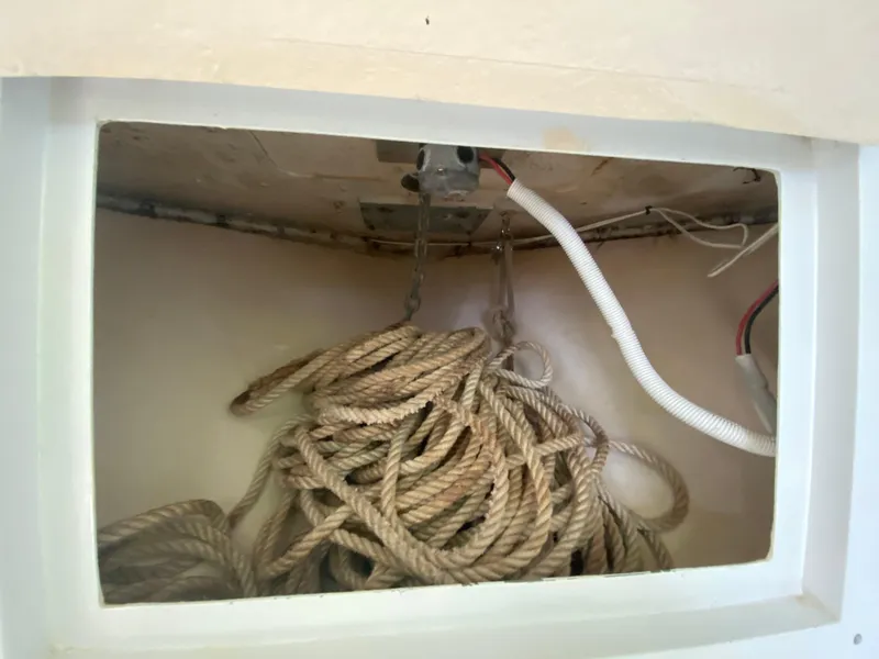 Slide: The Image of L&H 33 1995 - 53