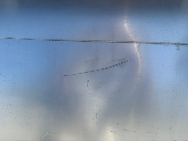 Slide: The Image of 2018 Avalon LSZ Quad Lounger aluminum panel with visible scratches and reflections. - 3