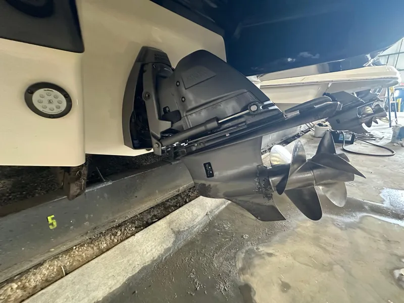 Slide: The Image of Chaparral 244 Sunesta 2018 - 52