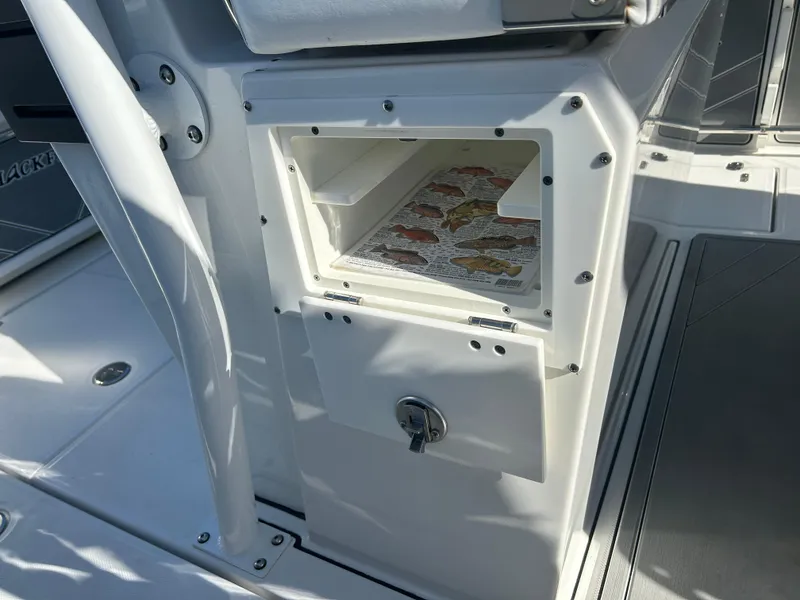 Slide: The Image of Blackfin 272 CC 2020 - 19