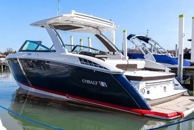 The Image of Cobalt R33 2025 - 2