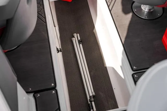 Slide: The Image of Scarab 255 LX 2025 - 19