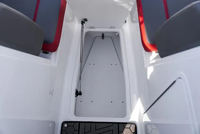 Slide: The Image of Scarab 255 LX 2025 - 29