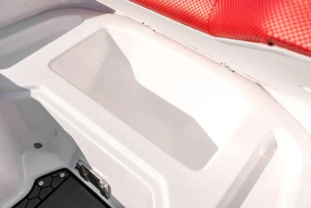 Slide: The Image of Scarab 255 LX 2025 - 30