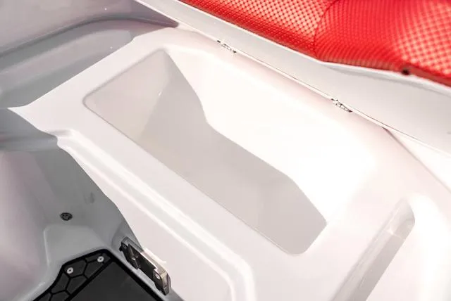 Slide: The Image of Scarab 255 LX 2025 - 31