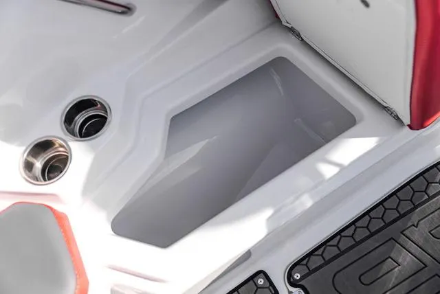 Slide: The Image of Scarab 255 LX 2025 - 35