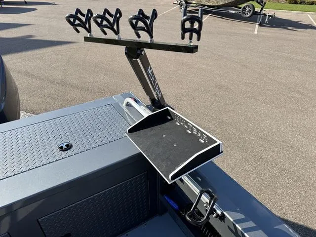 Slide: The Image of Excel Storm Cat 2025 - 33