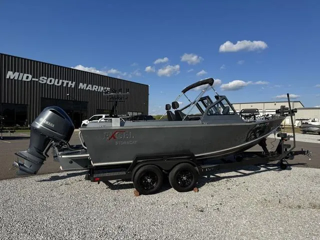 Slide: The Image of Excel Storm Cat 2025 - 5