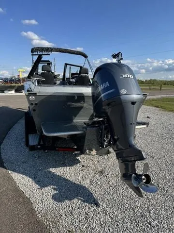 Slide: The Image of Excel Storm Cat 2025 - 6