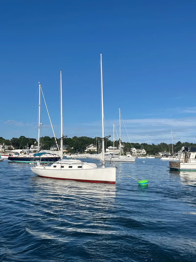 Slide: The Image of Martin Presto 30 2011 - 18