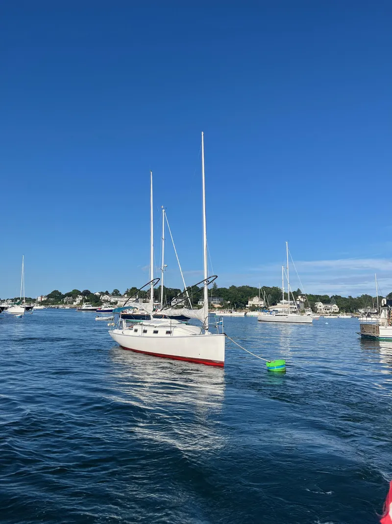 Slide: The Image of Martin Presto 30 2011 - 21