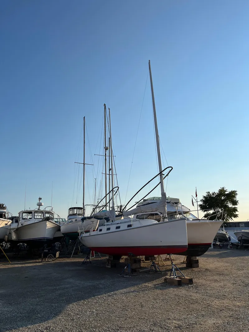 Slide: The Image of Martin Presto 30 2011 - 22