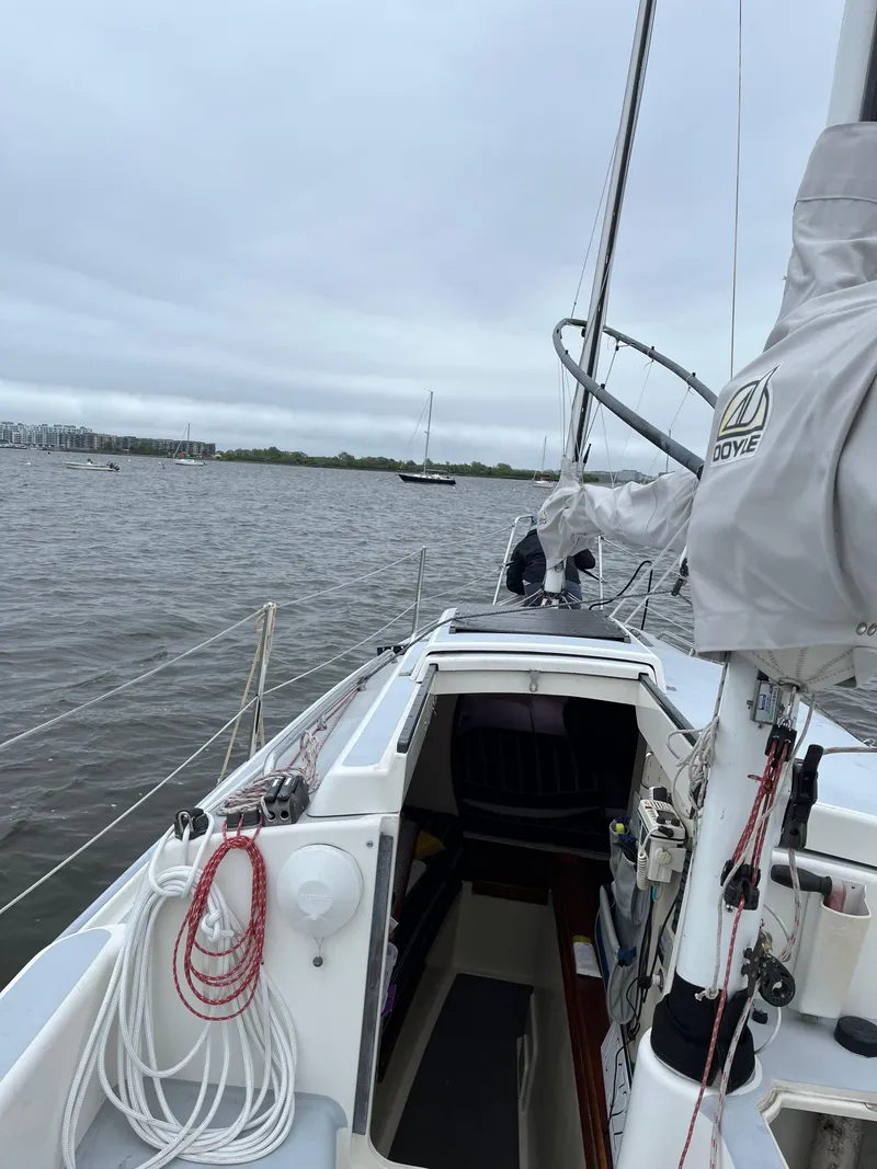 Slide: The Image of Martin Presto 30 2011 - 7