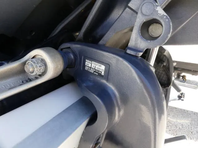 Slide: The Image of Hydra-Sports DL 2200 2008 - 6