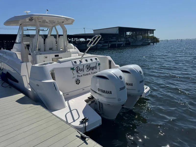 Slide: The Image of Regal 33 SAV 2020 - 2