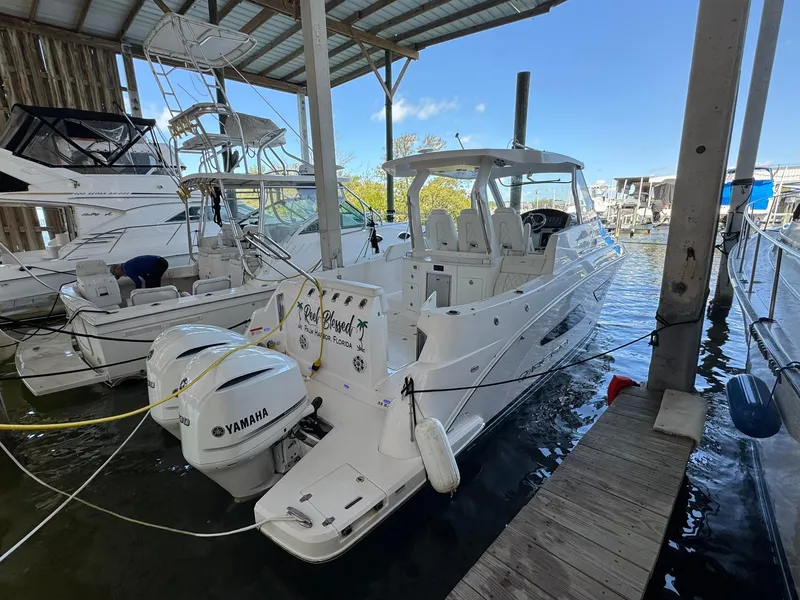 Slide: The Image of Regal 33 SAV 2020 - 3